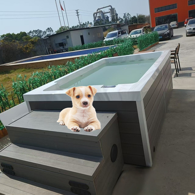 Piscina acrilica per cani per giocare con l'acqua